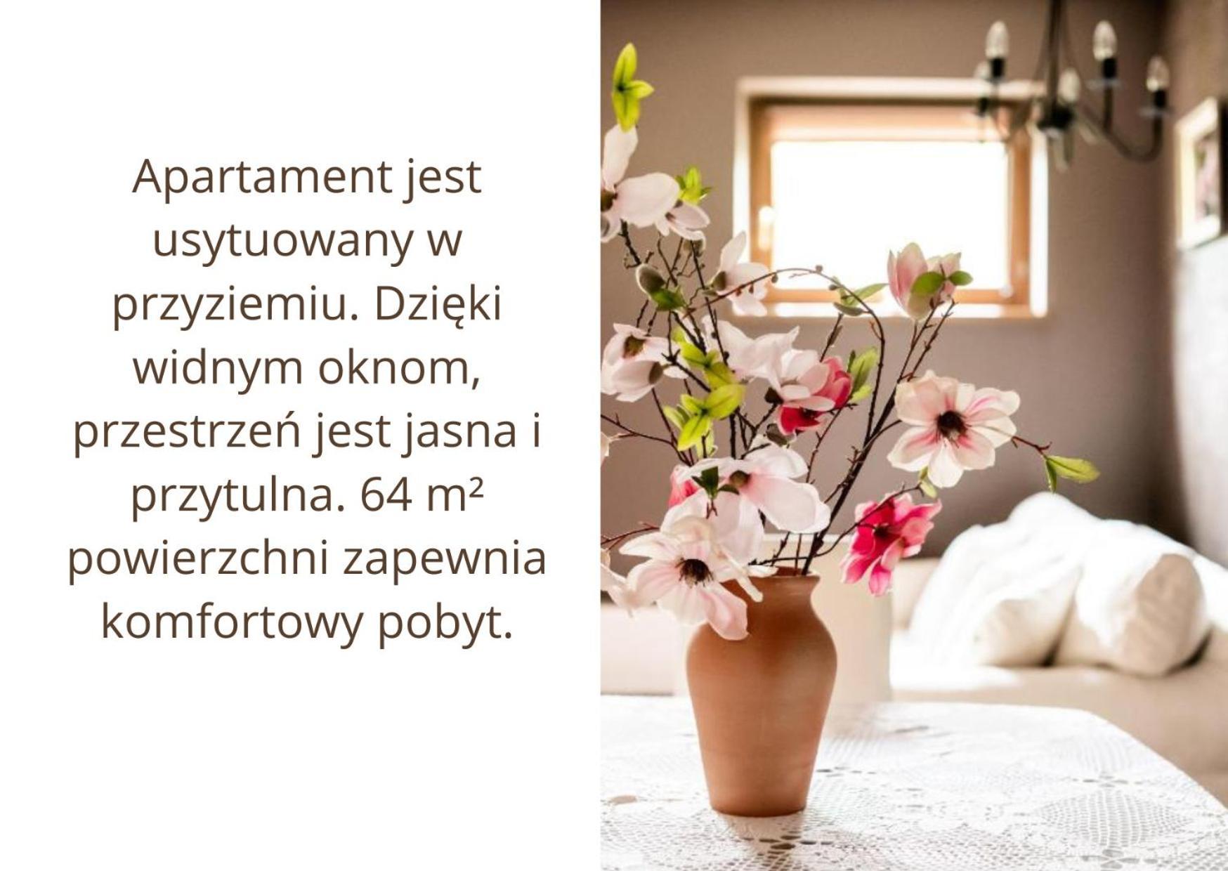 Magnolia Zakopane